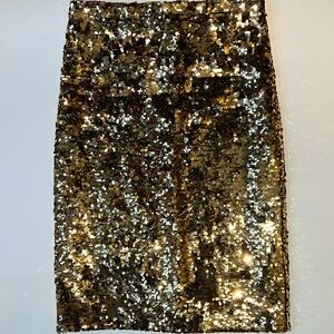 Sequin Skirt